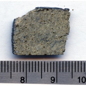 NWA 8694 (slice, 1.667 g) / Photo: Luc Labenne