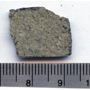 NWA 8694 (slice, 1.667 g) / Photo: Luc Labenne