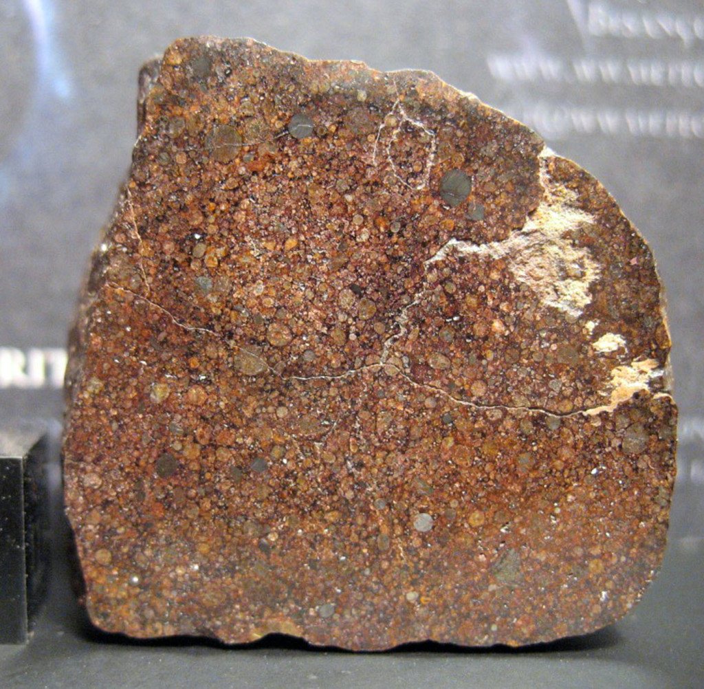 NWA 7135 full slice / photo: F. Kuntz