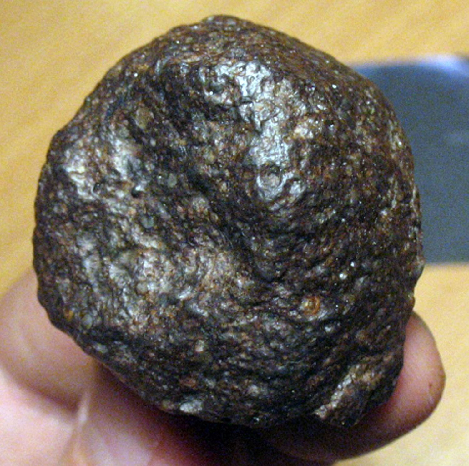 NWA 7135 main mass / photo: F. Kuntz