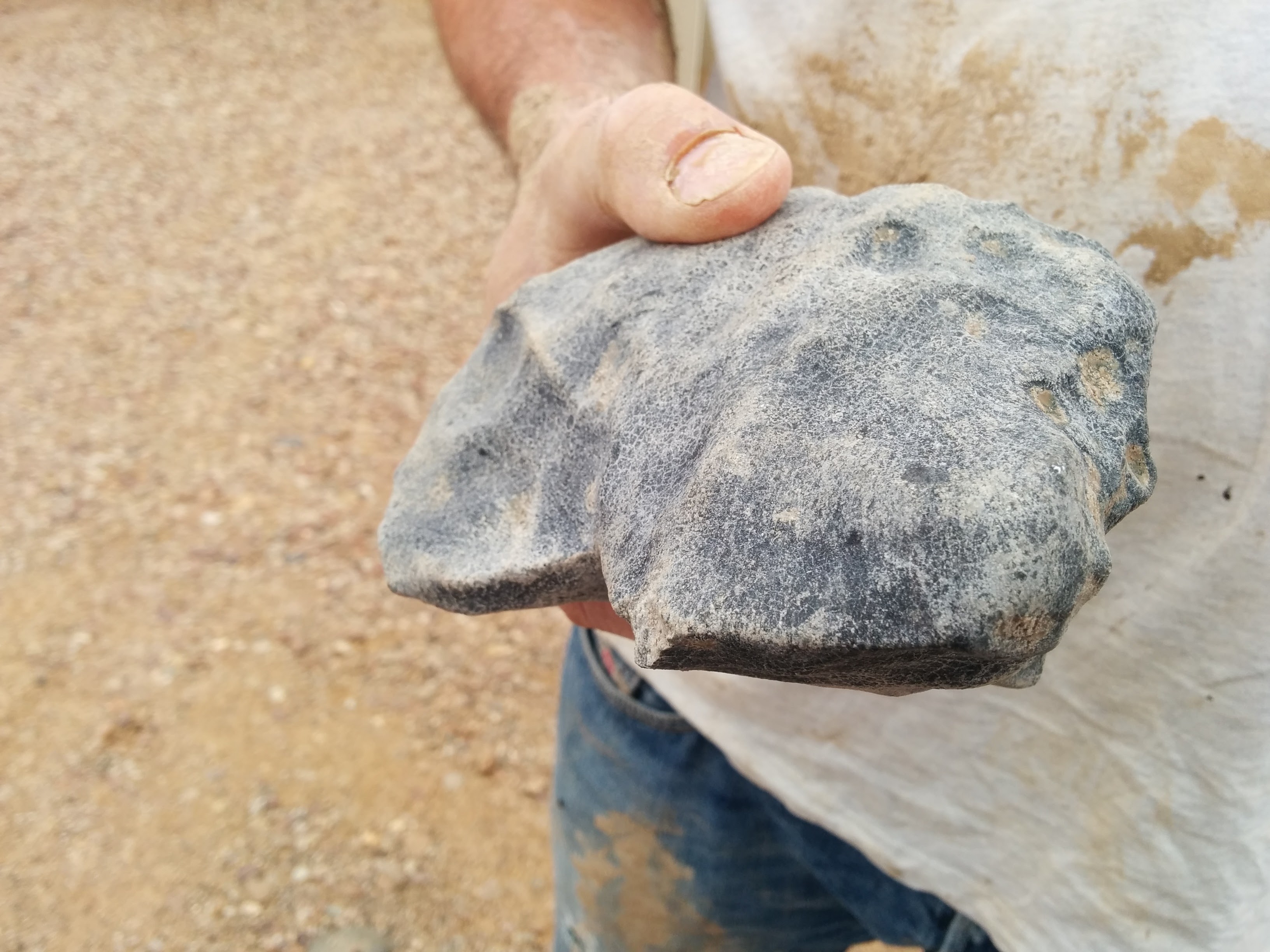The found chondrite just after the excavation / photo: DFN