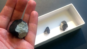 The meteorite fragments at the Geologisk Museum / photo: Anders Peter Schultz, Statens Naturhistoriske Museum