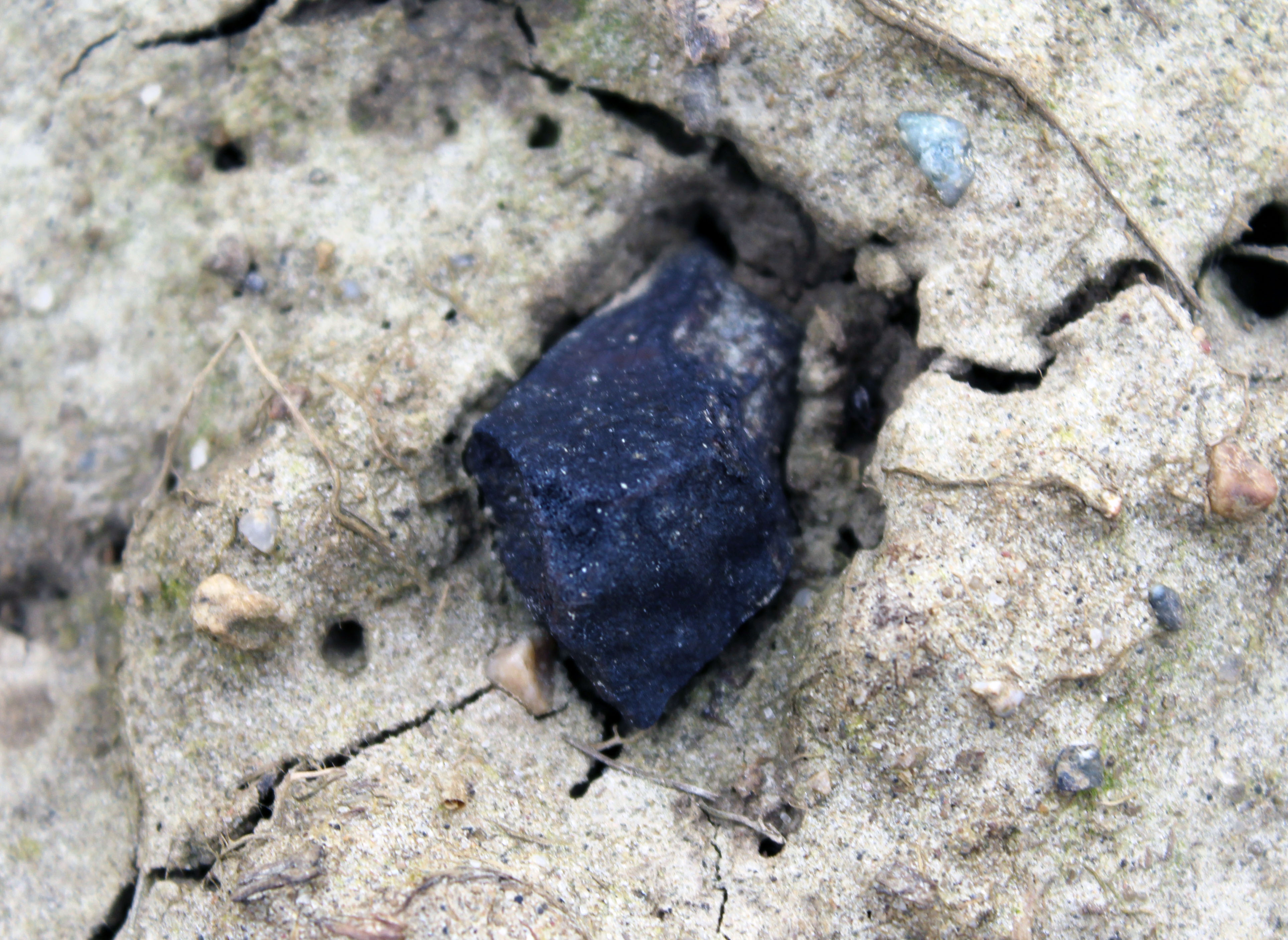 Fourth Ering meteorite (19.25 g) in situ (Photo: R. Sporn)