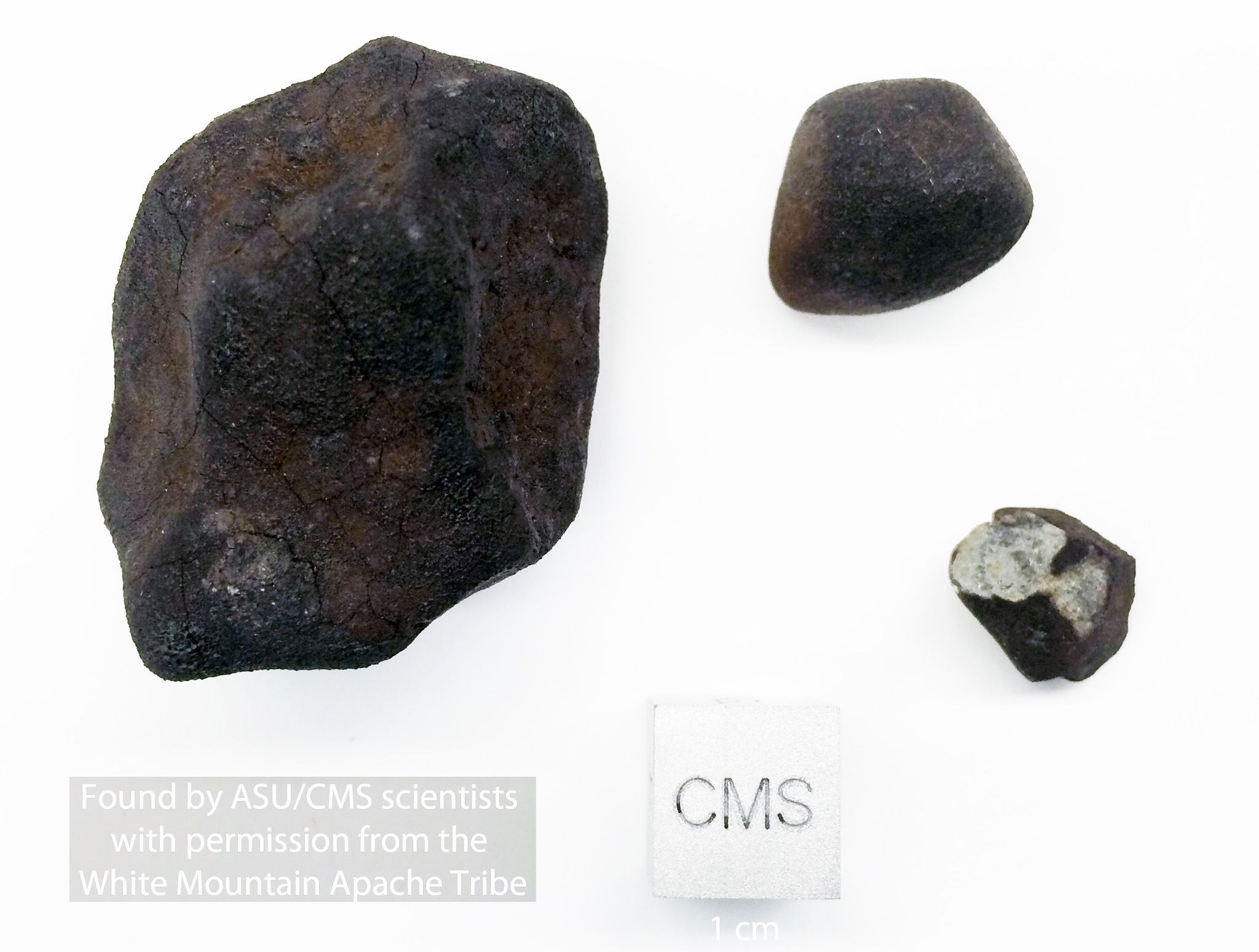 Three of fifteen found White Mountain meteorites / Image: ASU/CMS