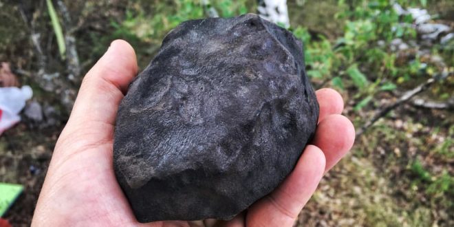 OZERKI (L6, S4/5, W0) meteorites (>91 specimens, >6.5 kg) found - Fall on 21 June 2018, ~ 4:16:20 a.m. MSK (1:16:20 UTC) near OZERKI (Oзeрки) and Zlobino (Злобино), Stanovlyansky District, Lipetsk, Russia
