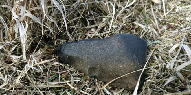 "Drelów" (prov.) meteorites (>3.5 kg, L ?, ~49 specimens) of bolide on 18 February 2025 (17:04:14 UT) found southwest of Drelów, Biała Podlaska district, Lublin province, Poland